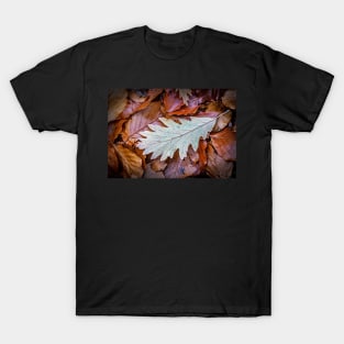 Oak Leaf on Beech Leaves T-Shirt